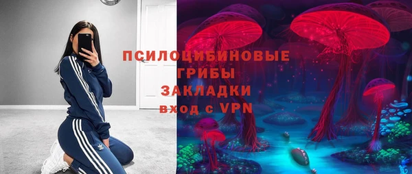 бошки Арсеньев
