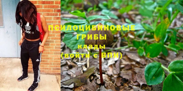 хмурый Армянск