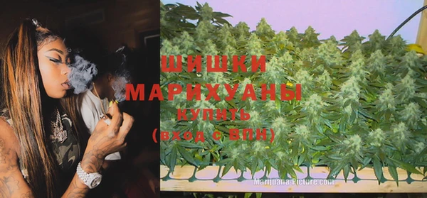 шишки Алексин