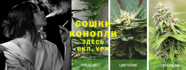 a pvp Аркадак