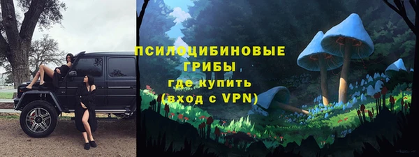 a pvp Аркадак