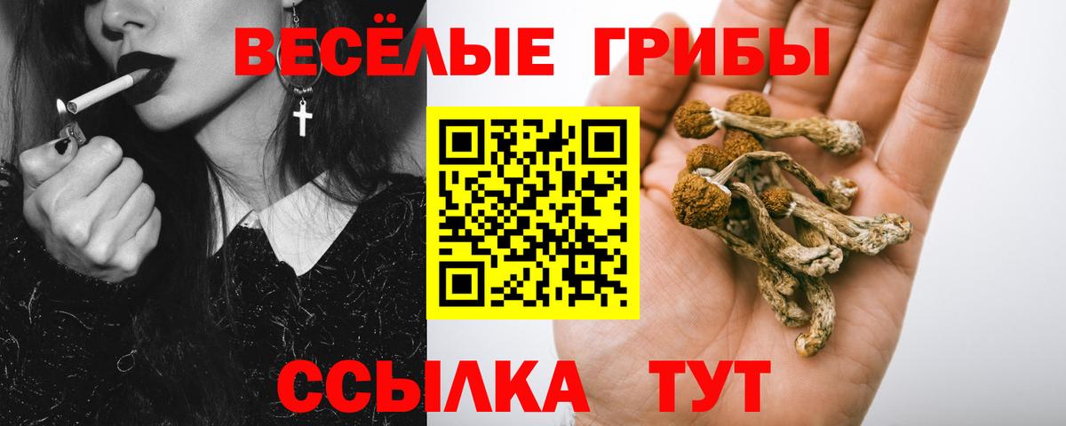 Галлюциногенные грибы прущие грибы  где можно купить   Петропавловск-Камчатский  Галлюциногенные грибы GOLDEN TEACHER  Вход с VPN 