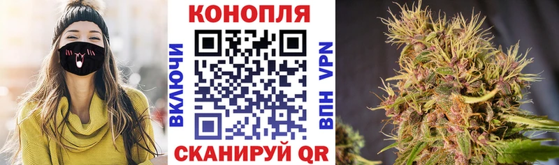 как найти закладки  Петропавловск-Камчатский  МАРИХУАНА гибрид 